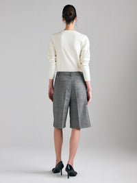 Bermudas príncipe-de-Gales - ucb_image_B