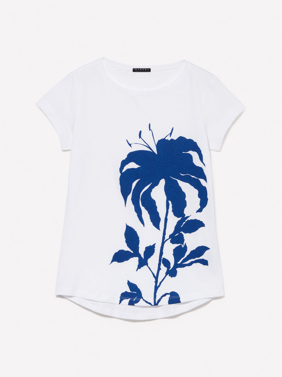 T-SHIRT Donna image number null