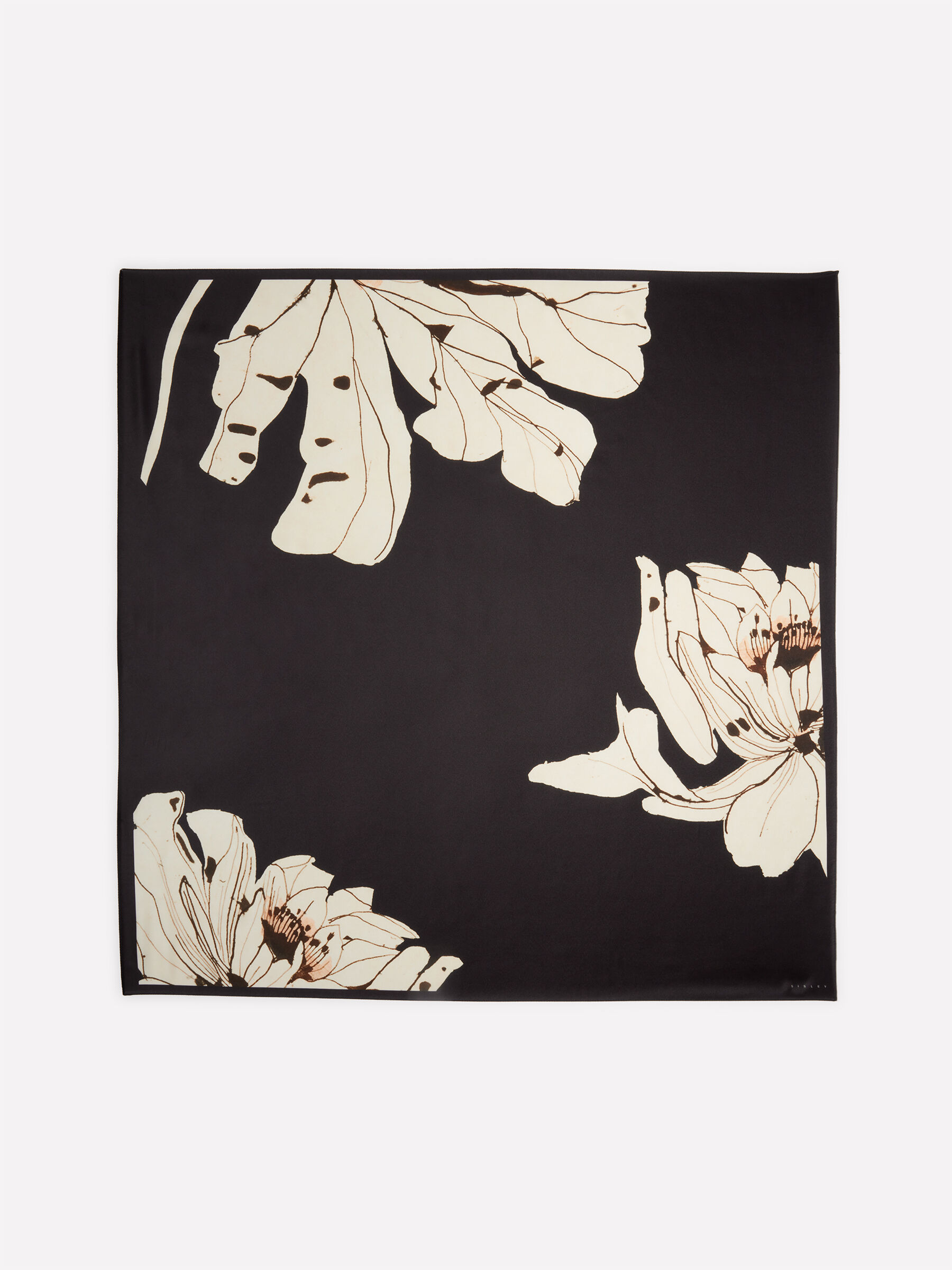 FOULARD Donna image number null