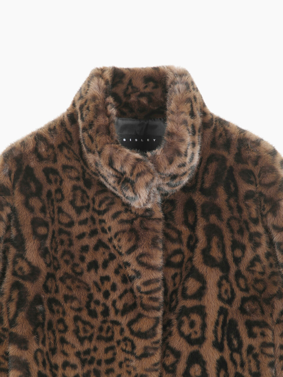 GIUBBOTTO Donna image number null